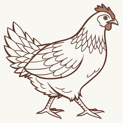 vector illustration of a chicken