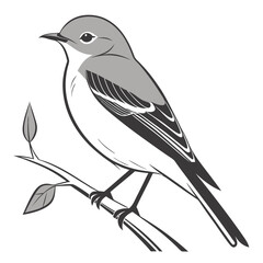 Beautiful Bird Vector Illustration in Minimal Art Style