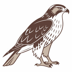 Beautiful Bird Vector Illustration in Minimal Art Style