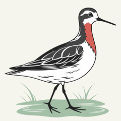 Obraz premium Beautiful Bird Vector Illustration in Minimal Art Style