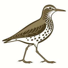 Obraz premium Beautiful Bird Vector Illustration in Minimal Art Style