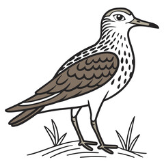 Obraz premium Beautiful Bird Vector Illustration in Minimal Art Style