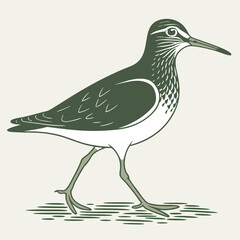 Beautiful Bird Vector Illustration in Minimal Art Style