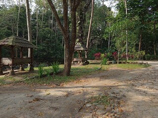 a beautiful and spacious garden with wooden huts
