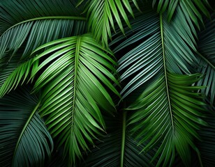 lush green palm leaves create a vibrant and dense texture showcasing their elongated fronds against a dark background emphasizing their tropical beauty
