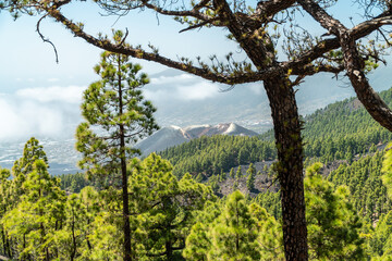 Vulkan Tajogaite – Neues Vulkangebiet La Palmas