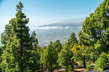 Montaña de Tamanca – Vulkanlandschaft, La Palma © Florian Braun