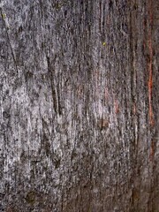 Obraz premium Old weathered brown wooden wall with rough texture and natural wood grain pattern
