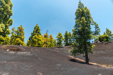 Montaña de Tamanca – Vulkanlandschaft, La Palma © Florian Braun