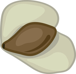 Winged seed of birch tree (Betula pendula) isolated on white background