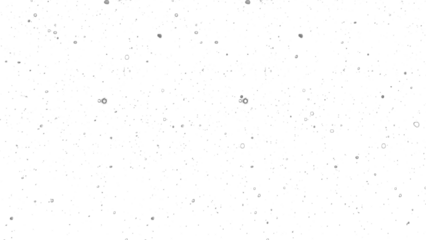 Snowfall. Winter heavy snowflakes. Overlay texture isolated  background PNG transparent