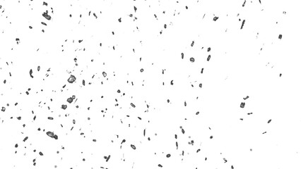 Snowfall. Winter heavy snowflakes. Overlay texture isolated  background PNG transparent