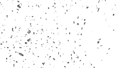 Snowfall. Winter heavy snowflakes. Overlay texture isolated  background PNG transparent