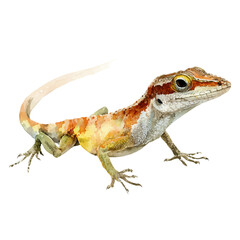 Watercolor vector illustration of Anole, isolated on white background.