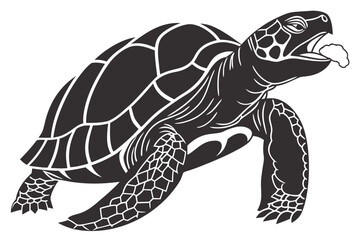 Fototapeta premium Tortoise animal sihouette black vector