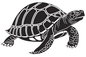 Tortoise animal sihouette black vector