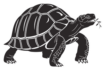 Tortoise animal sihouette black vector