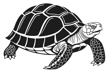 Tortoise animal sihouette black vector