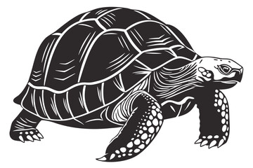 Tortoise animal sihouette black vector