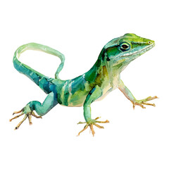 Watercolor vector illustration of Anole, isolated on white background.