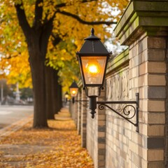 Vintage street lamp glowing warmly beside autumn trees