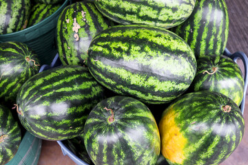 Many ripe sweet watermelon on sell at Asian local market. Tropical fresh juicy   delicious fruit