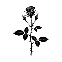 Vector illustration of black silhouette of a rose flower with buds and leaves isolated on white background