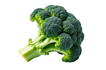  fresh broccoli isolated on transparent background