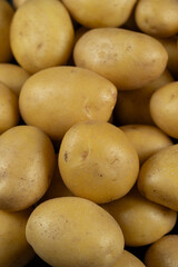 Fresh Raw Unpeeled Potatoes Close-Up, Natural Farm Vegetables.
