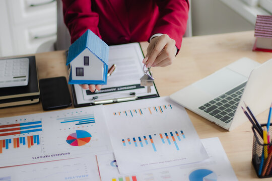 business people working on a project