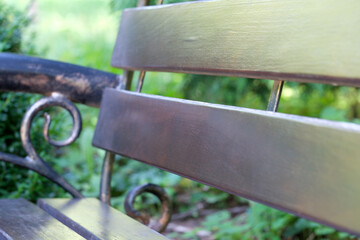 Rustic bench nestled in a verdant garden setting under sunlight