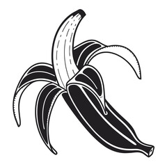 vector illustration of a banana