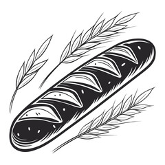 feather isolated on white