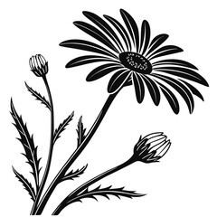 black and white flowers