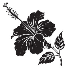 black and white flower