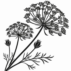 black and white flowers