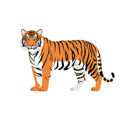 Full body illustration of a majestic tiger standing on a clean white background.