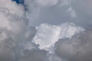 Cloudy sky for background on wallpaper with common swift in the background