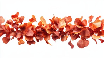 A horizontal line of scattered, dried, copper-toned leaves against a white background.  The leaves appear delicate and slightly translucent