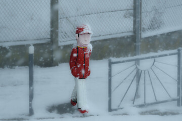 Petit bonhomme sous la neige