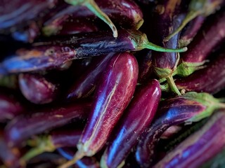 eggplant background. Macro. Organic food.