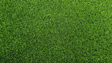 Fototapeta premium Green grass background, top view background of garden bright grass concept used for making green backdrop.