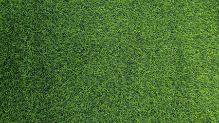 Fototapeta premium Green grass background, top view background of garden bright grass concept used for making green backdrop.