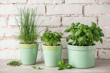 Fototapeta premium charming soft-colored pots filled with chives, basil, and dill, placed against a textured brick wall.