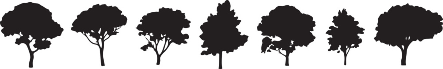 Elegant Decorative Dividers and Flourishes - Vector Set