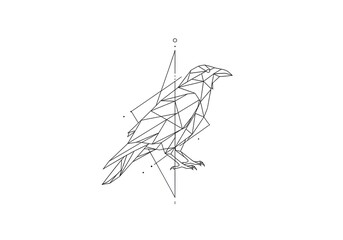 Clean, geometric raven illustration with minimal lines.