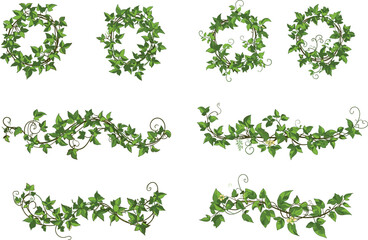 Green ivy wreaths and vines illustration, decorative plant border, botanical foliage ornament, nature frame element, garden-themed design asset