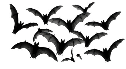 Naklejka premium A dark swarm of bats flying against a black background, wings spread widely