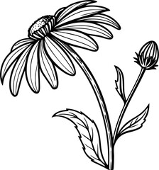 flower hand drawn vector