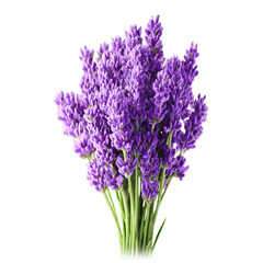 Fototapeta premium A vibrant bouquet of fresh lavender flowers with lush purple blooms and green stems, showcasing aromatic beauty.
